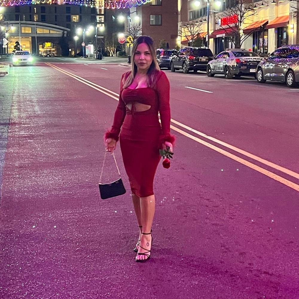 Furry sleeve dress